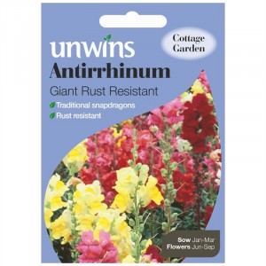 Unwins Antirrhinum Giant Rust Resistant