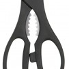 KitchenCraft Multi-Purpose Stainless Steel Kitchen Scissors/Bottle Opener