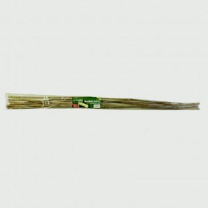 Apollo Natural Bamboo Canes 1.5m