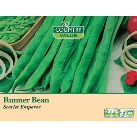 Mr.Fothergill's Runner Bean Scarlet Emperor