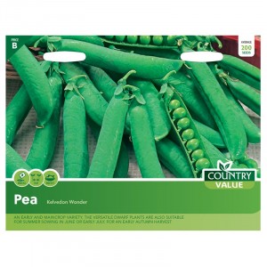 Mr.Fothergill's Pea Kelvedon Wonder