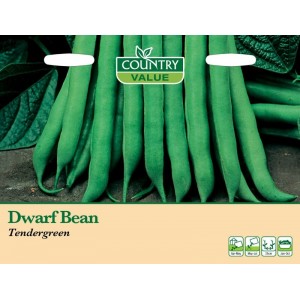 Mr.Fothergill's Dwarf Bean Tendergreen