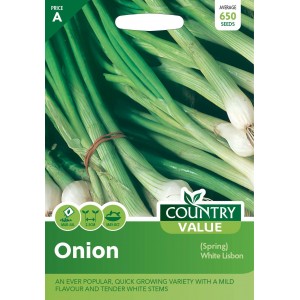 Mr.Fothergill's Onion (Spring) White Lisbon