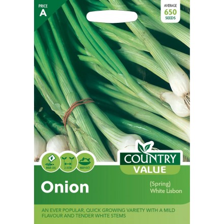 Mr.Fothergill's Onion (Spring) White Lisbon