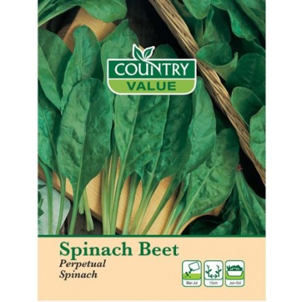 Mr.Fothergill's Spinach Beet Perpetual Spinach