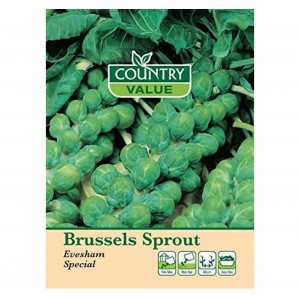 Mr.Fothergill's Country Value Brussels Sprouts Evesham Special