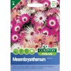 Mr.Fothergill's Country Value Mesembryanthemum Mixed