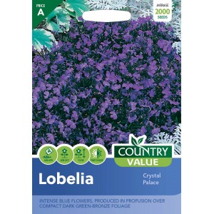 Mr.Fothergill's Country Value Lobelia Crystal Palace
