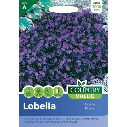 Mr.Fothergill's Country Value Lobelia Crystal Palace