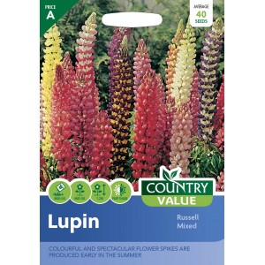 Mr.Fothergill's Country Value Russell Lupin Hybrids