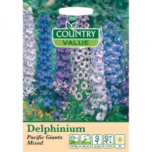Mr.Fothergill's Country Value Delphinium Pacific Giants