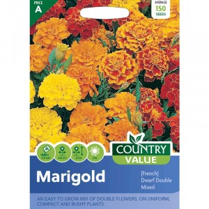 Mr.Fothergill's Country Value Marigold (French) Dwarf Double Mixed