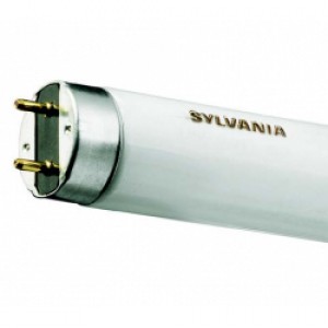 Sylvania Fluorescent T8 Luxline Plus 15 Watt