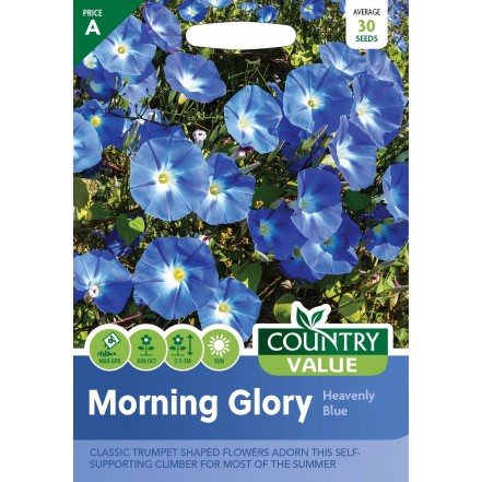 Mr.Fothergill's Country Value Morning Glory Heavenly Blue