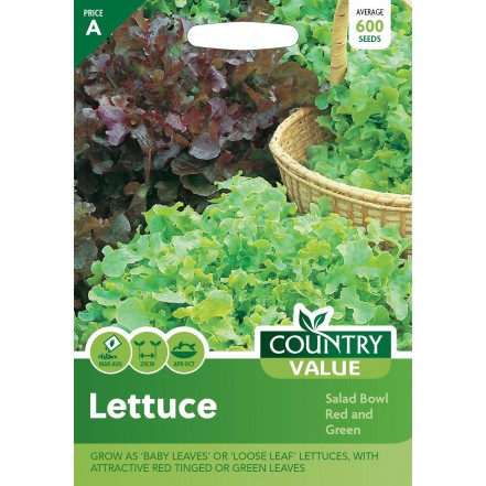 Mr.Fothergill's Lettuce Salad Bowl Red & Green