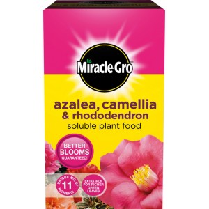Miracle-Gro Azalea, Camellia & Rhododendron Soluble Plant Food