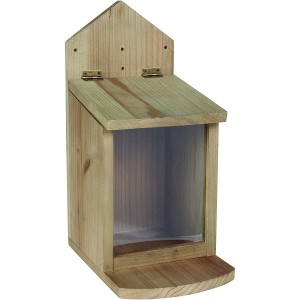 Chapelwood Squirrel Feeder