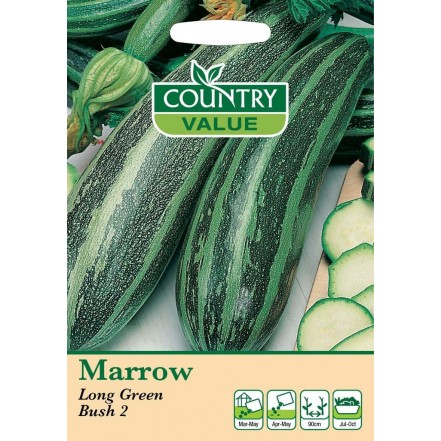 Mr.Fothergill's Marrow Long Green Bush 2