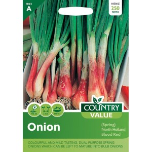 Mr.Fothergill's Onion Spring North Holland Blood Red