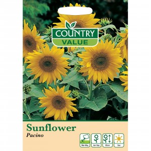 Mr.Fothergill's Country Value Sunflower Pacino