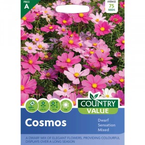 Mr.Fothergill's Country Value Cosmos Dwarf Sensation Mixed