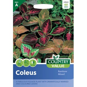 Mr.Fothergill's Country Value Coleus Rainbow Mixed