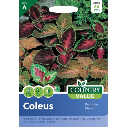 Mr.Fothergill's Country Value Coleus Rainbow Mixed