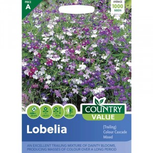 Mr.Fothergill's Country Value Lobelia Trailing Colour Cascade