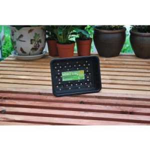Small Seed Tray