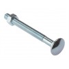 Carriage Bolt with Hex Nut