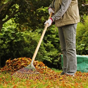 Ambassador Stainless Steel Long Handle Lawn & Leaf Rake