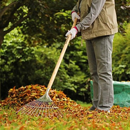Ambassador Stainless Steel Long Handle Lawn & Leaf Rake