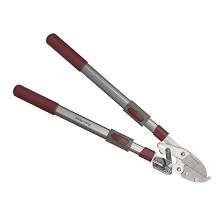 Kent & Stowe Telescopic Ratchet Anvil Loppers