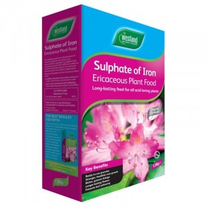 Westland Sulphate of Iron Ericaceous Plant Food 1.5kg