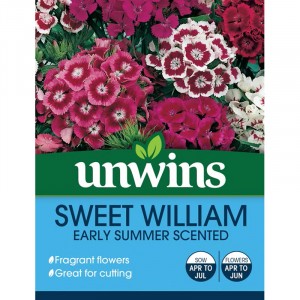 Unwins Sweet William Early Summer Scented