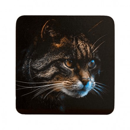 Country Matters Single Coaster Stalking Cat