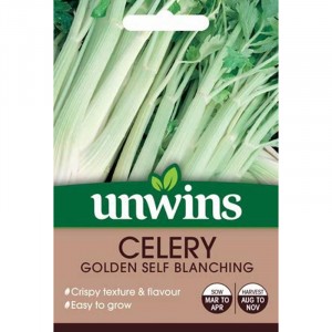 Unwins Celery Golden Self Blanching