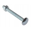 Carriage Bolt with Hex Nut