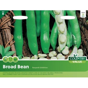 Country Value Vegetable & Herb Seeds