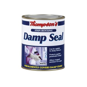 Thompson's Stain Blocking Damp Seal
